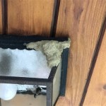 How To Keep Wasps Out Of Outdoor Light Fixtures