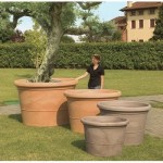 How To Use Large Outdoor Planters For Trees
