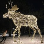 Large Outdoor Lighted Moose