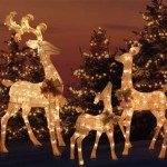 Lighted Outdoor Reindeer Set