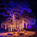 Outdoor Event Spotlights