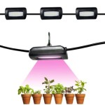 Outdoor Grow Lights For Shady Areas