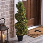 Outdoor Lighted Topiary Trees