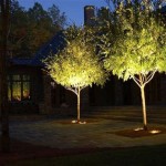 Outdoor Uplights For Trees