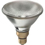 Replacement Bulbs For Outdoor Flood Lights